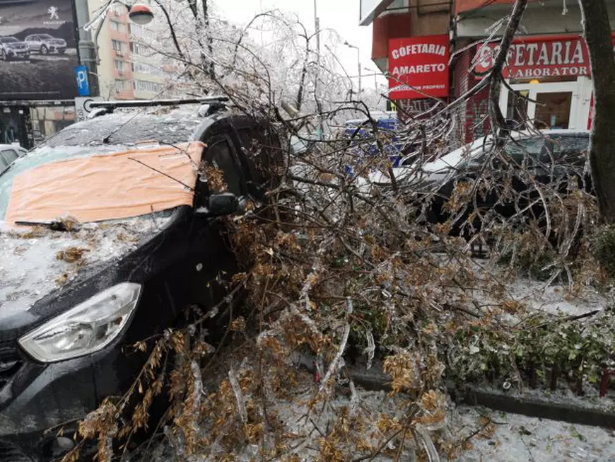 FOTO | Vremea face ravagii: Zeci de copaci doborâţi de vânt și gheață în Bucureşti și 49 de maşini avariate, în ultimele ore. Circulaţia pe anumite linii a tramvaielor şi a troleibuzelor, blocată