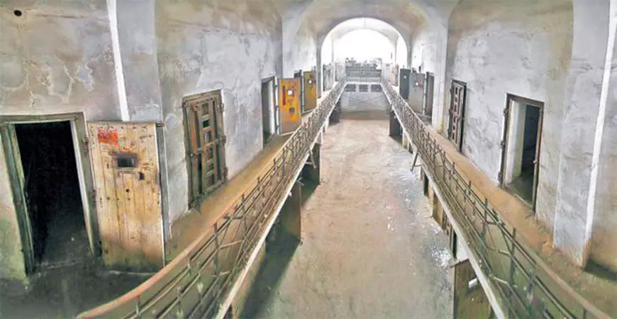 VIDEO/ Interviu cu Octav Bjoza, fost deținut politic: "Mai umilit ca-n anul Centenarului n-am fost niciodată!"