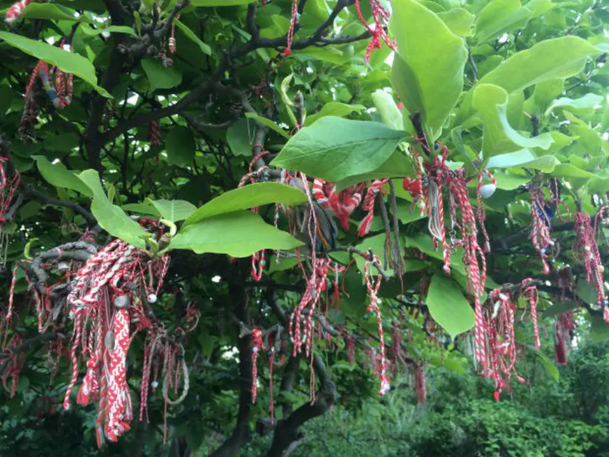 Vladimir Găitan primea mărțișoare de la fete în tinerețe. “Eram frumușel, dar și urât de ceilalți băieți”