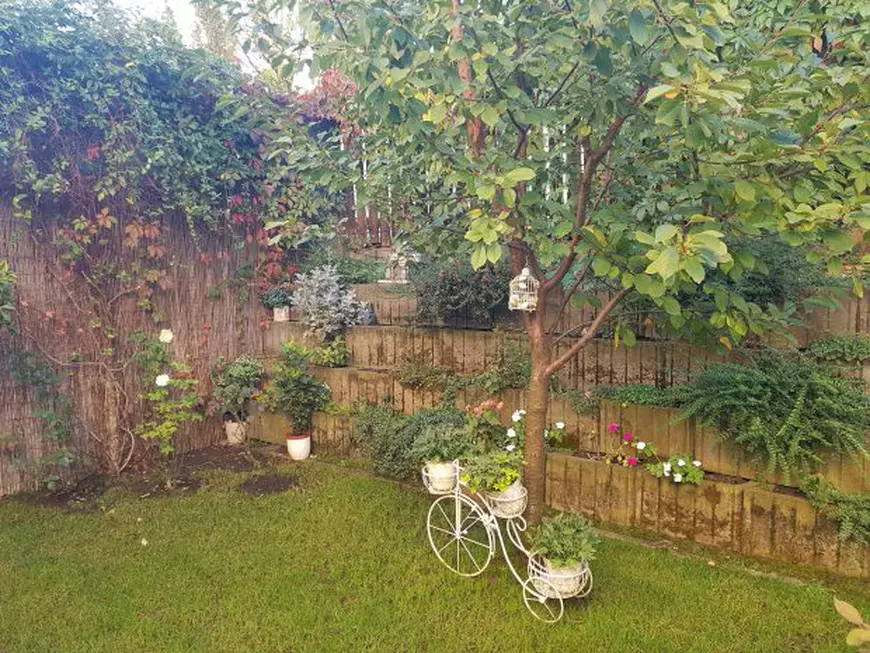 Colțurile de rai din grădinile artiștilor! Unii și-au făcut livezi, alții au plantat legume sau îngrijesc păsări