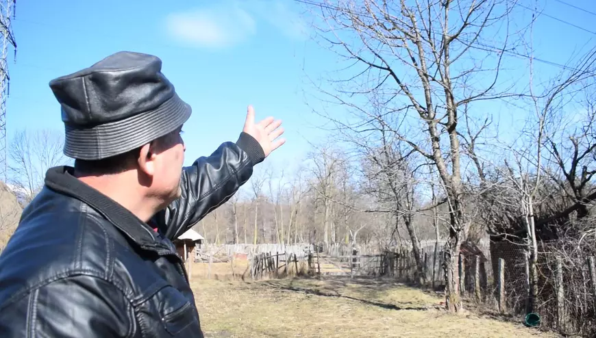 VIDEO / O femeie de 50 de ani a murit electrocutată în cireș! Compania CEZ Oltenia susține că nu are nici o vină, deși patru cabluri treceau prin coroana pomului și au fost dezafectate abia după tragedie!