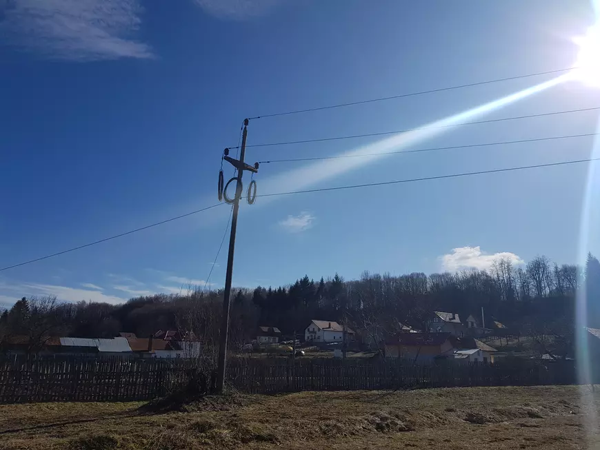 VIDEO / O femeie de 50 de ani a murit electrocutată în cireș! Compania CEZ Oltenia susține că nu are nici o vină, deși patru cabluri treceau prin coroana pomului și au fost dezafectate abia după tragedie!