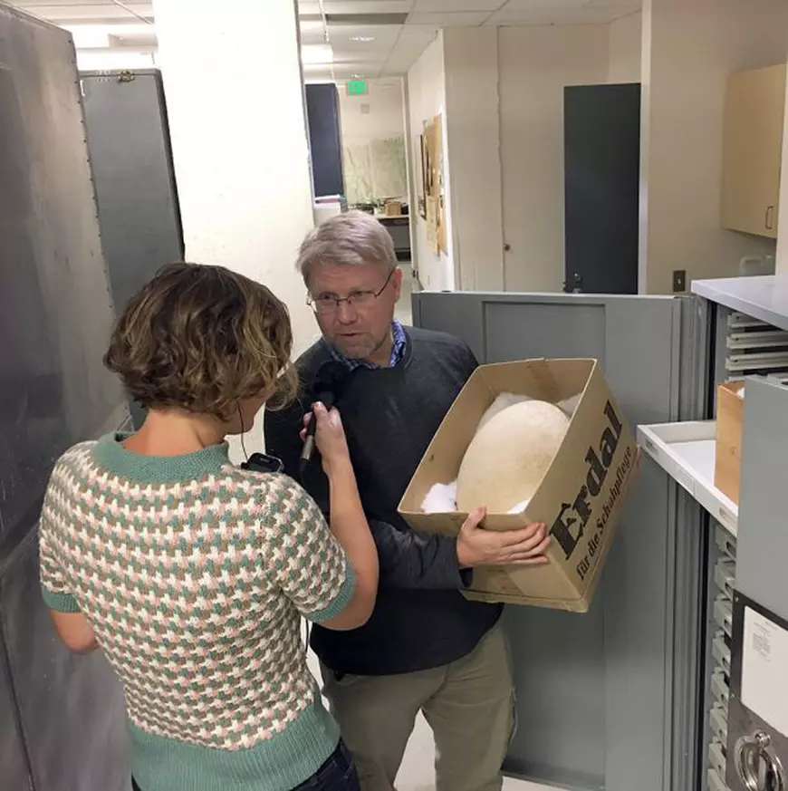 Recomandările culturale ale săptămânii. De la spectacolul de teatru "Familia Fără Zahăr" la o plimbare explicată de un istoric pe Calea Victoriei