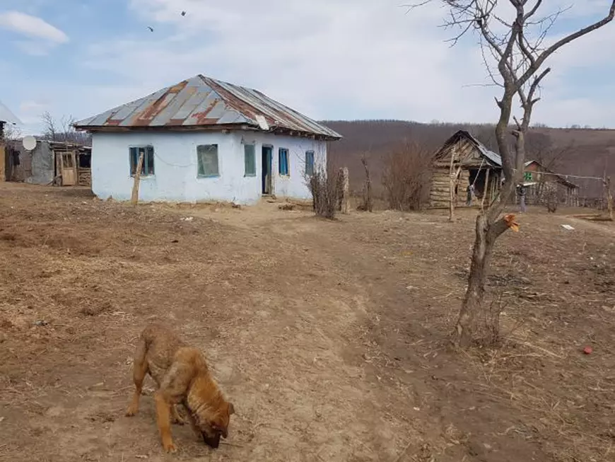 Opt frați din Vaslui, ținuți în frig, nespălați și flămânzi, au fost luați din familie și dați în plasament. Reacția părinților: «N-a murit nici un copil! De ce ni i-au luat?»/ FOTO