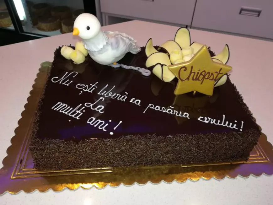 Jojo și-a serbat ziua de naștere la vizionarea serialului „Liber ca pasărea cerului”. Ce tort i-au pregătit colegii