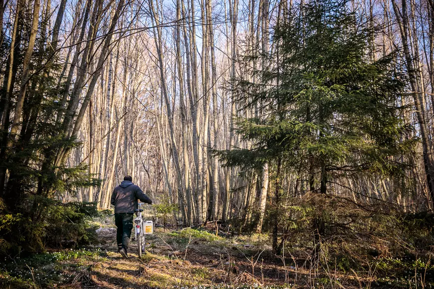 În căutarea lui Gică - românul omorât într-un parc din Huskvarna, Suedia, de doi adolescenți. Paște în pădure cu cei mai nevoiași dintre compatrioți (1)
