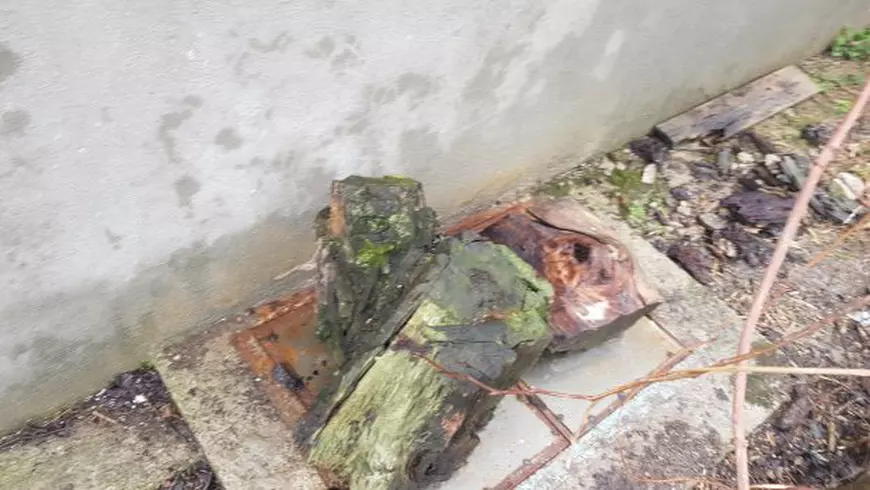 La un pas de o decizie care poate i-ar fi salvat viața. Copilul care a murit în fosa septică urma să plece cu tatăl lui în Italia