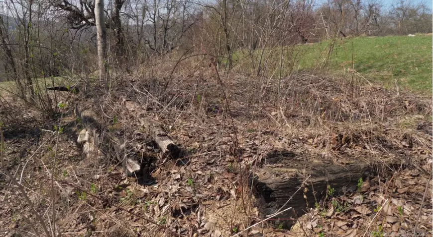 „Casa lui Gheorghel a lu Butoi avea prispă, două camere şi tavanul pardosit cu scândură”, îşi aminteşte Doru Pătru.