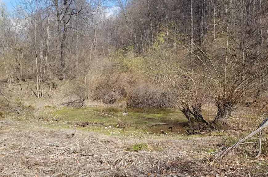 VIDEO/ Satul din care şi ultimul locuitor a plecat la muncă în străinătate! Ciobanul Gheorghe s-a făcut măcelar în Anglia