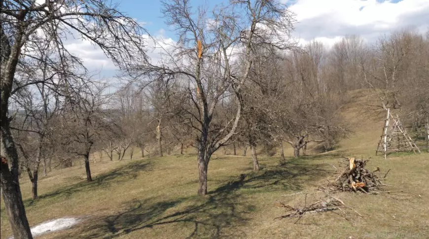 VIDEO/ Satul din care şi ultimul locuitor a plecat la muncă în străinătate! Ciobanul Gheorghe s-a făcut măcelar în Anglia