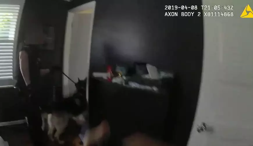 VIDEO/ Polițiștii au fost chemați să intervină la un jaf, dar au izbucnit în hohote de râs când au ajuns. Cine era „tâlharul” din casă