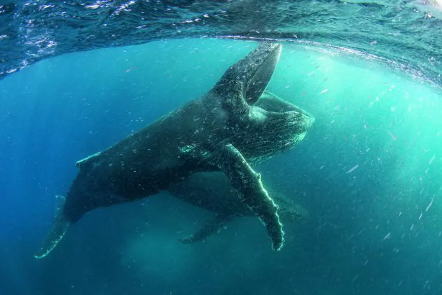 Recomandări pentru binging: urmează mai multe zile libere, ce filme bune vedem pe Netflix