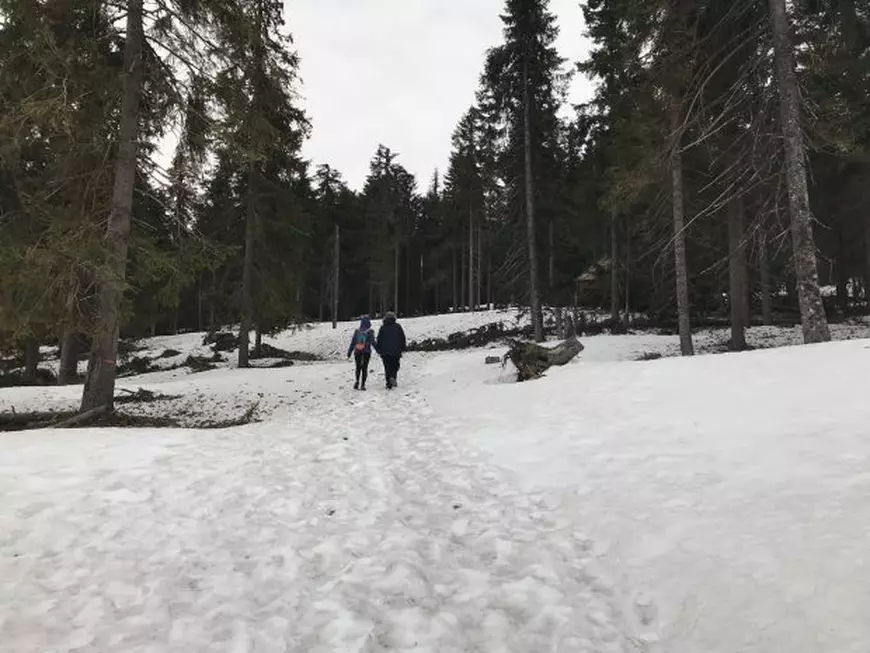 FOTO&VIDEO | Moții salvatori din Apuseni au emigrat! Avem semnal GSM, drum asfaltat, dar au plecat oamenii care au făcut diferența în groaznicul accident de avion