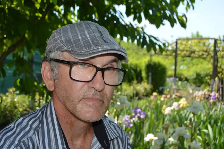 Are o avere în grădină! Un vasluian e cel mai mare cultivator de iriși din estul Europei