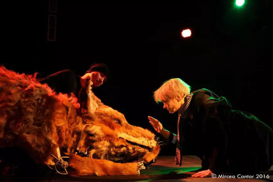 Recomandările culturale ale săptămânii. Reîntâlnirea cu “Micul prinț” și poveștile mai puțin cunoscute ale culorilor