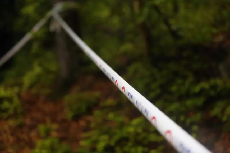 UPDATE | Doi oameni de afaceri, victimele accidentului aviatic din județul Buzău. Mărturiile șocante ale martorilor