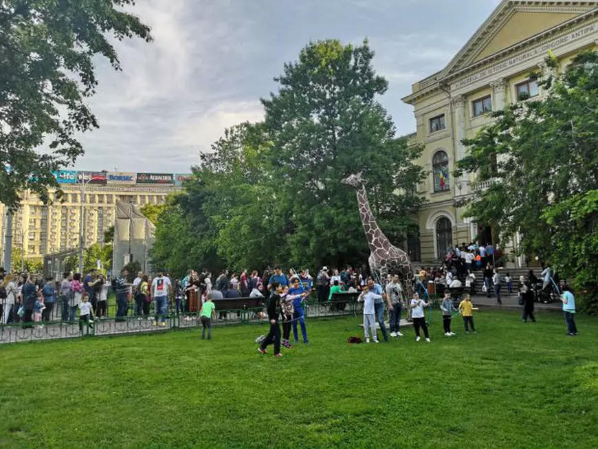 Aglomerație la Antipa de Noaptea Muzeelor! Sute de oameni stau zeci de minute la coadă ca să viziteze muzeul de istorie naturală