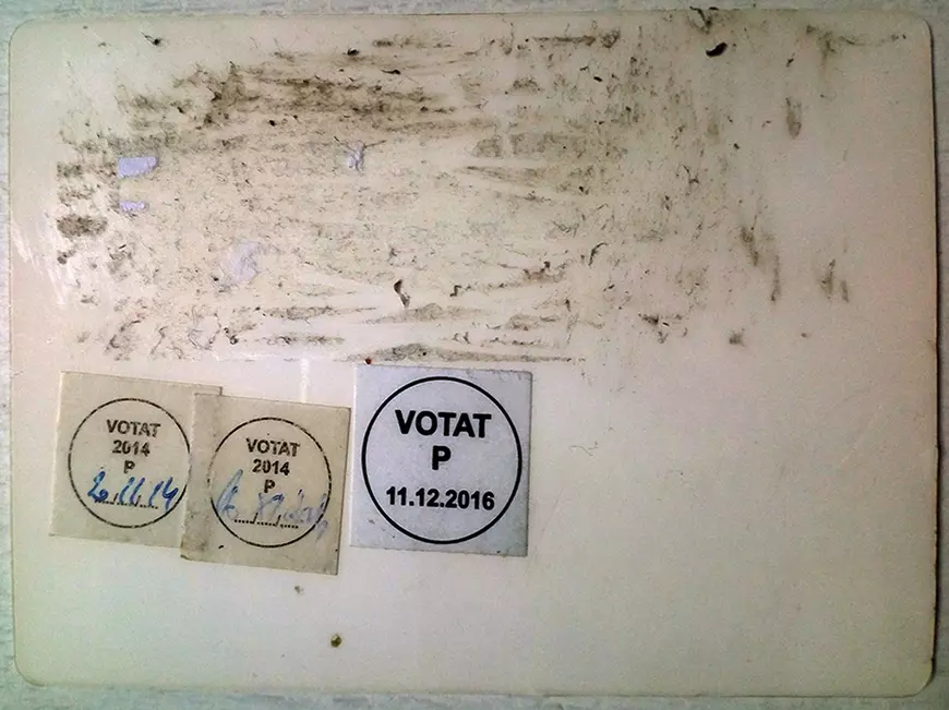 Povestea buletinelor albe pe spate. Cine sunt oamenii din spatele cozilor din diaspora? Două jurnale de români care au alergat după vot, în Marea Britanie
