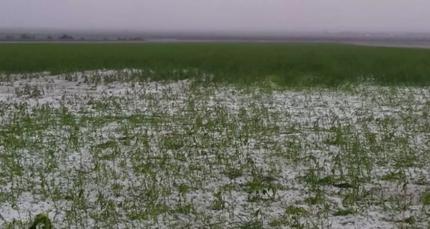 Sistemul antigrindină de 25 de milioane de euro dă rateuri! 16 rachete, de aproape 1.300 de euro bucata, au fost trase degeaba în ziua urgiei