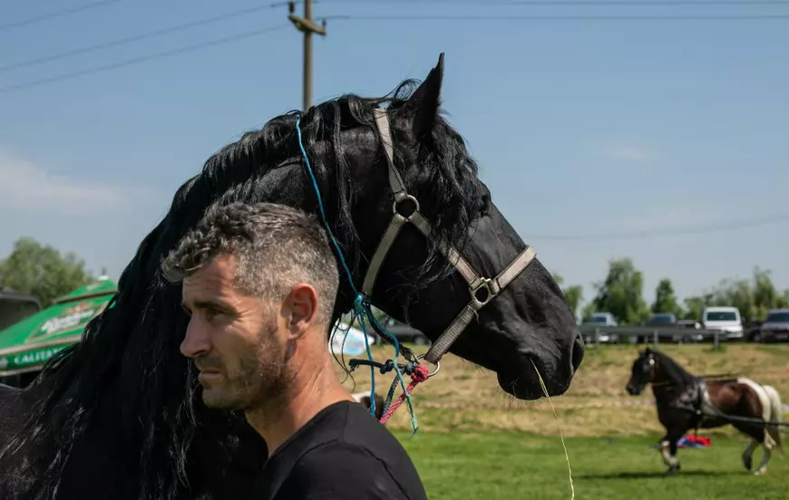Cum arată un târg tradițional de cai de rasă, în Lunca Dunării. O tradiție păstrată de peste 3.000 de ani! | GALERIE FOTO