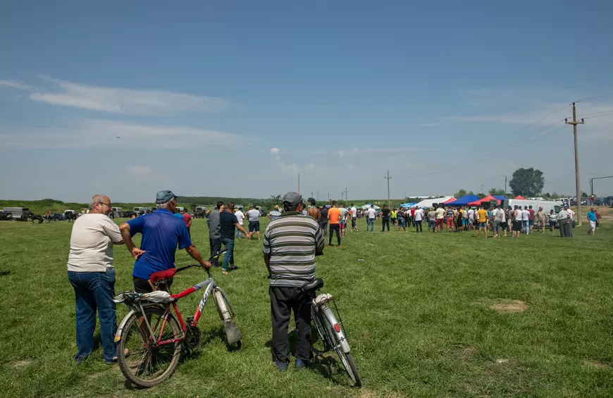 Cum arată un târg tradițional de cai de rasă, în Lunca Dunării. O tradiție păstrată de peste 3.000 de ani! | GALERIE FOTO