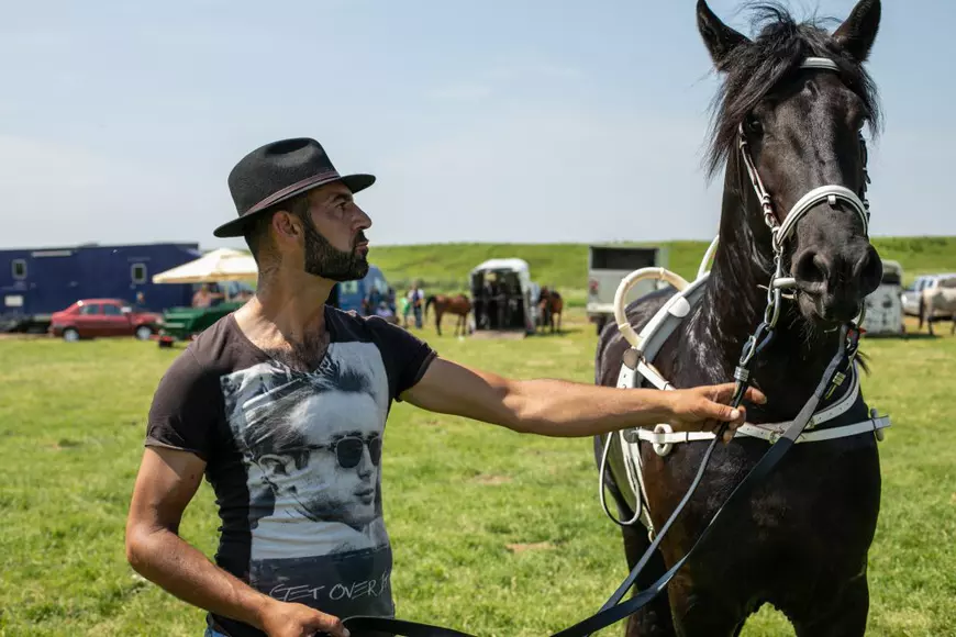 Cum arată un târg tradițional de cai de rasă, în Lunca Dunării. O tradiție păstrată de peste 3.000 de ani! | GALERIE FOTO
