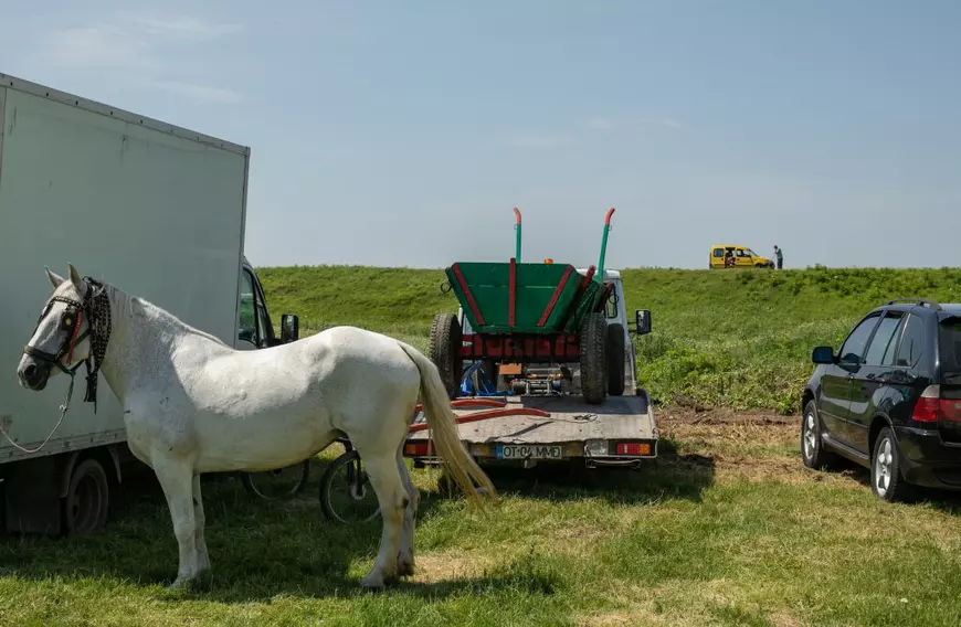 Cum arată un târg tradițional de cai de rasă, în Lunca Dunării. O tradiție păstrată de peste 3.000 de ani! | GALERIE FOTO
