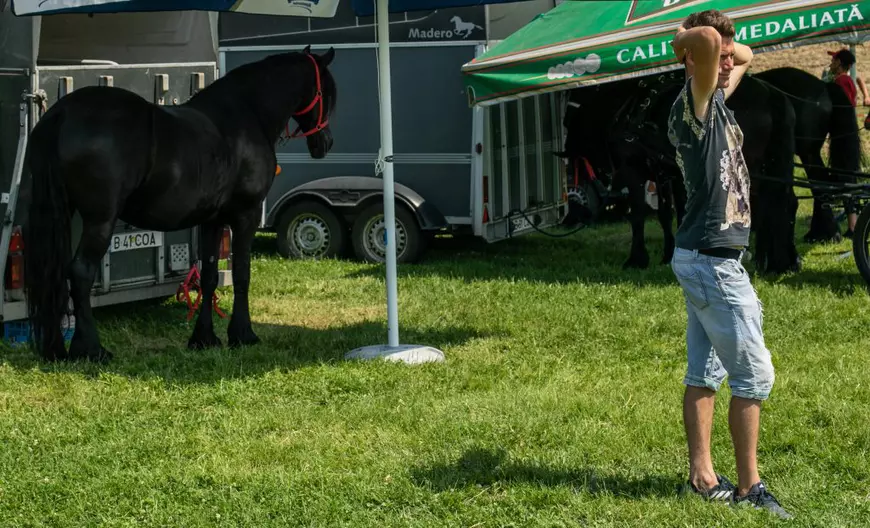 Cum arată un târg tradițional de cai de rasă, în Lunca Dunării. O tradiție păstrată de peste 3.000 de ani! | GALERIE FOTO