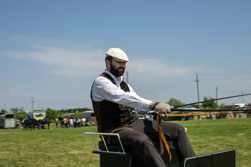 Cum arată un târg tradițional de cai de rasă, în Lunca Dunării. O tradiție păstrată de peste 3.000 de ani! | GALERIE FOTO