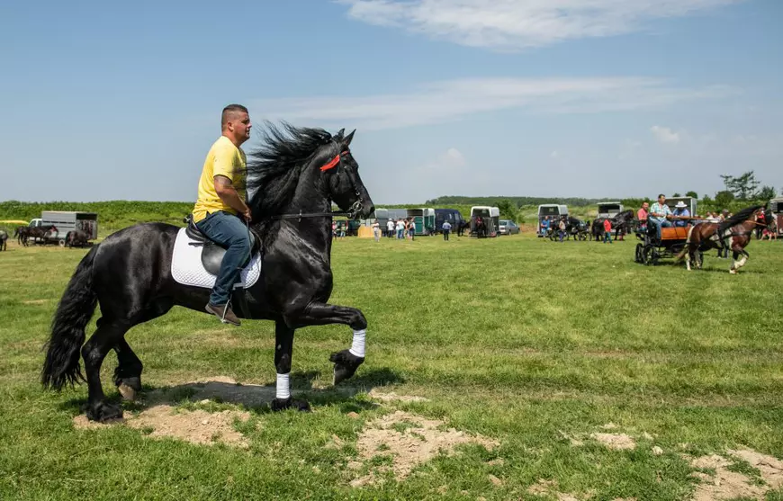 Cum arată un târg tradițional de cai de rasă, în Lunca Dunării. O tradiție păstrată de peste 3.000 de ani! | GALERIE FOTO