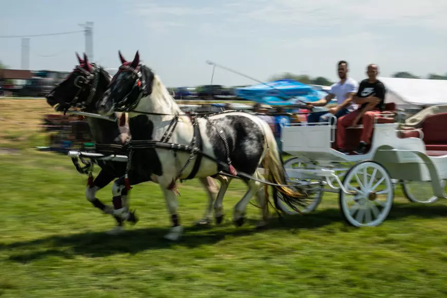 Cum arată un târg tradițional de cai de rasă, în Lunca Dunării. O tradiție păstrată de peste 3.000 de ani! | GALERIE FOTO