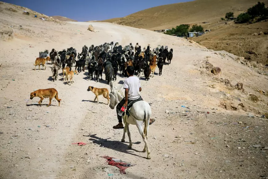 FOTOREPORTAJ în Palestina. Cum decurge viața de zi cu zi pe un tărâm încărcat de istorie și încercat de conflicte