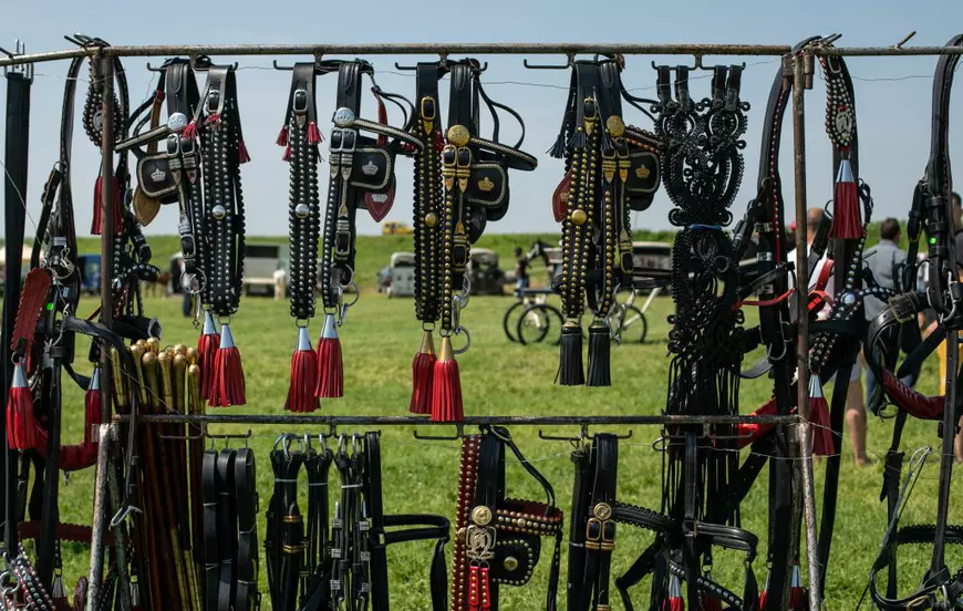 Cum arată un târg tradițional de cai de rasă, în Lunca Dunării. O tradiție păstrată de peste 3.000 de ani! | GALERIE FOTO