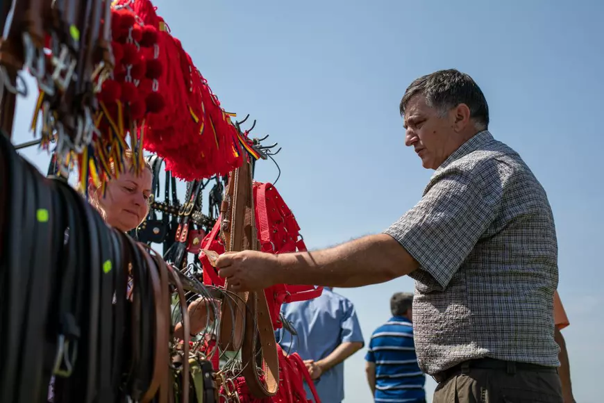 Cum arată un târg tradițional de cai de rasă, în Lunca Dunării. O tradiție păstrată de peste 3.000 de ani! | GALERIE FOTO