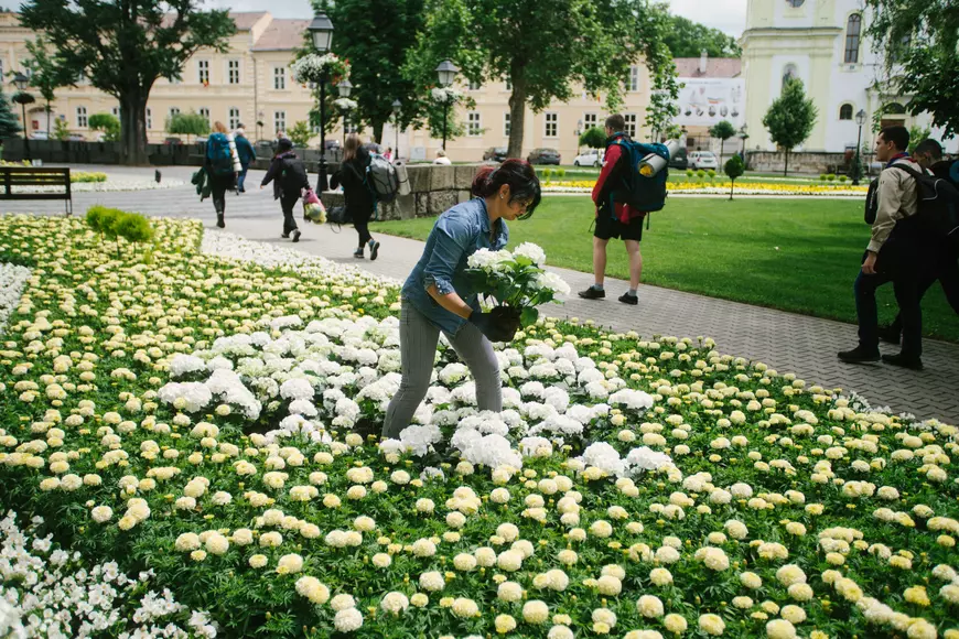 FOTOREPORTAJ DOCUMENTARIA/ Retrospectiva unui eveniment istoric. Papa Francisc, 3 zile de vizită în România, în 36 de fotografii