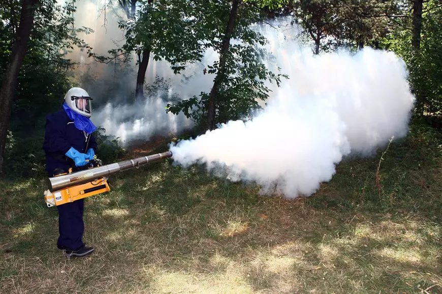 Invazie de ţânţari în București pentru că Primăria nu are de patru luni un contract de dezinsecție și s-a ratat campania din primăvară de omorâre a larvelor!