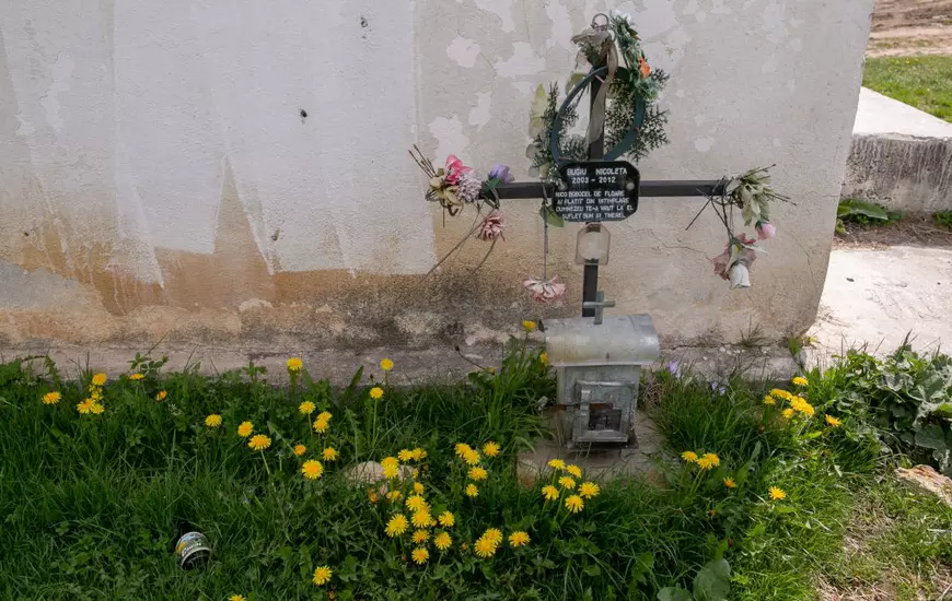 VIDEO | Primar PSD condamnat la 3 ani cu suspendare pentru moartea unei fete într-o groapă cu rahat e acum director adjunct la Direcția pentru Agricultură