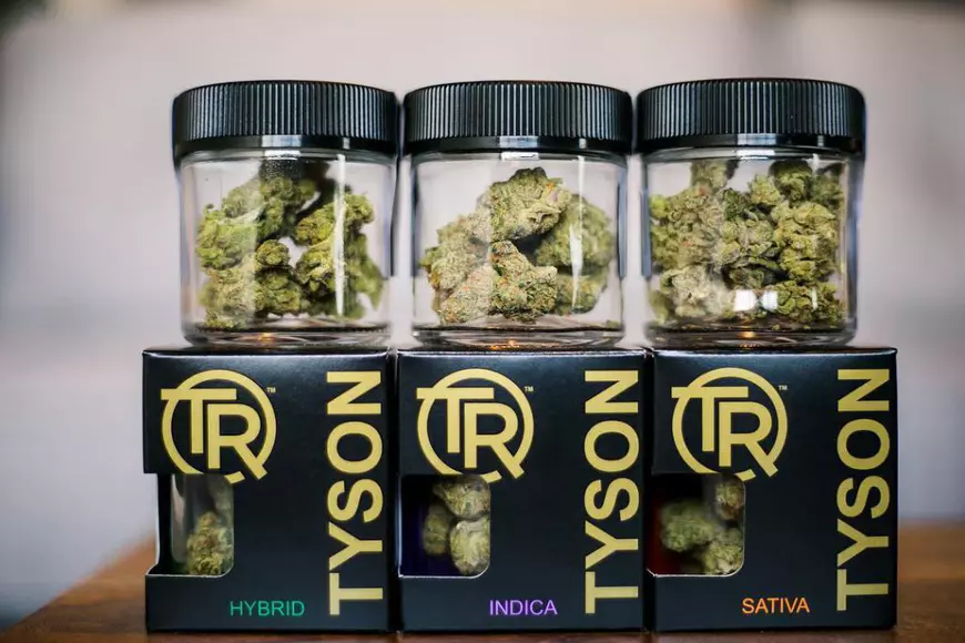 FOTO| Mike Tyson a devenit fermier. Vrea să cultive cannabis pe 160 de hectare