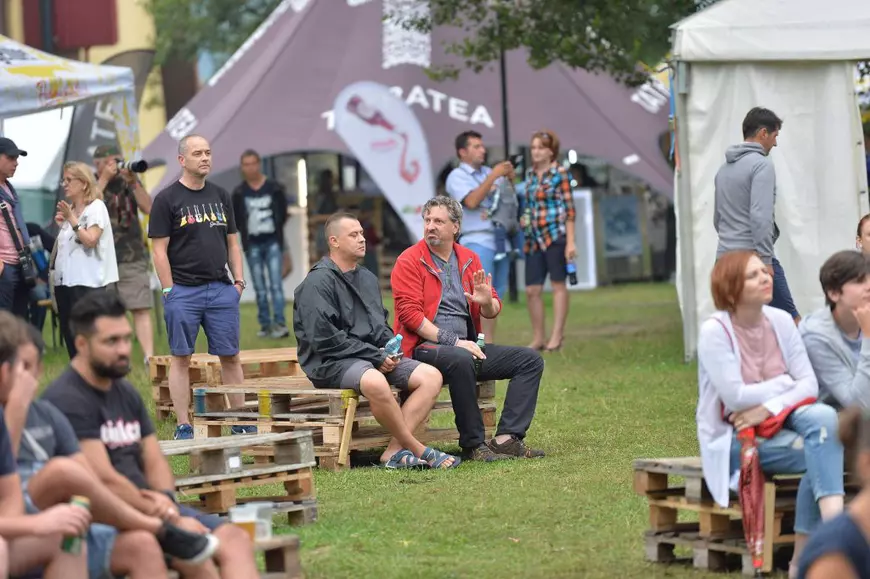 Nothing but the blues. Lecția Brezoi