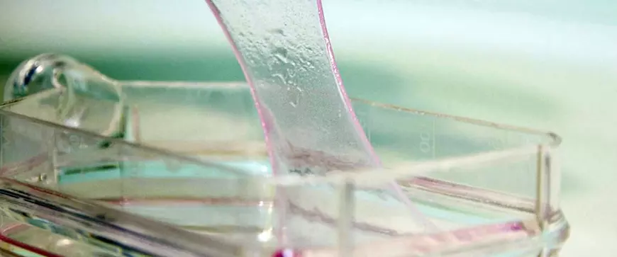 Am vizitat spitalul din Lausanne, Elveția! Cum se află cauza morții punând în funcțiune corpul după deces