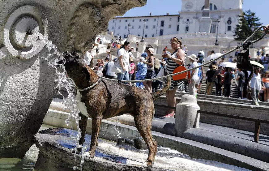 Val de caniculă în vestul Europei. Temperaturi istorice în mai multe țări
