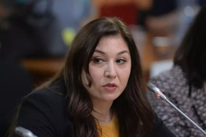 AUDIO: Claudia Nicolae, fosta consilieră a lui Carmen Dan și acum director la Agerpres, a mințit! Publicăm înregistrarea convorbirii telefonice care arată că demonstranții din 10 august au fost urmăriți de Guvern!