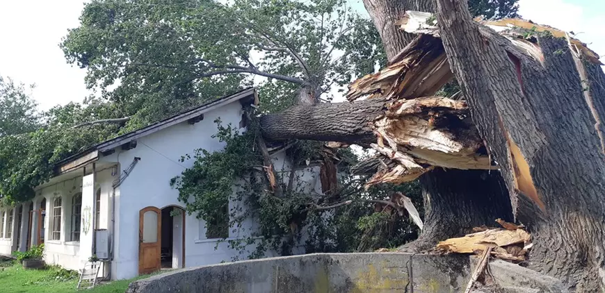 FOTO/ Gara Fluvială de pe moșia lui Dinescu a fost distrusă de furtună! Divan Festival, un eveniment inedit al verii care avea loc acolo, a fost anulat