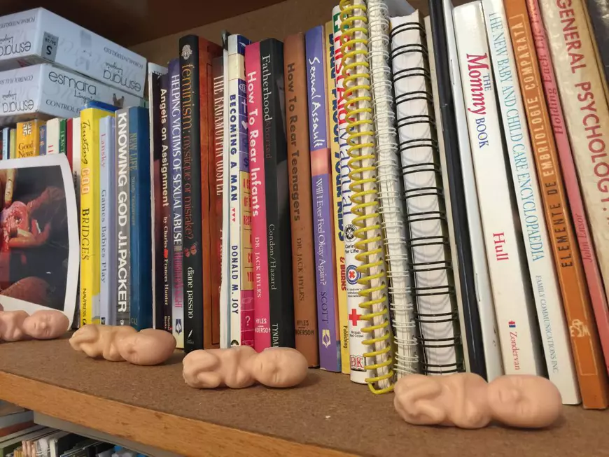 Obiecția de conștiință. Doctorii români în lupta mișcării mondiale anti-avort