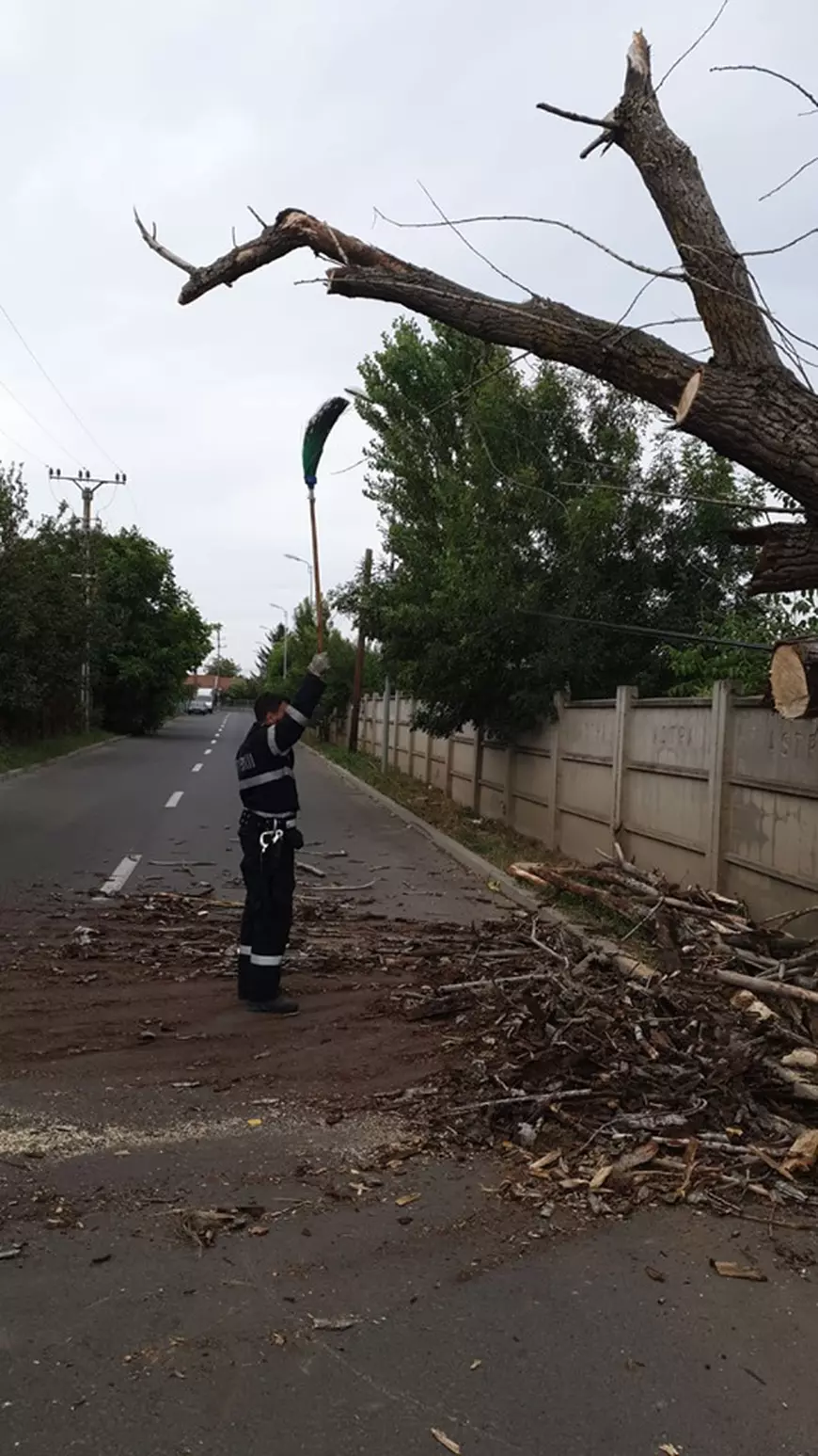 Mai multe localități din județul Timiș au rămas aseară fără curent electric, după o furtună puternică