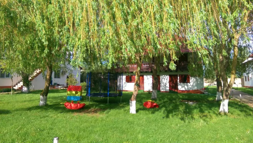 Ofertă Specială Plătește 1 și Merg 3 în Delta Dunării! (PUBLICITATE)