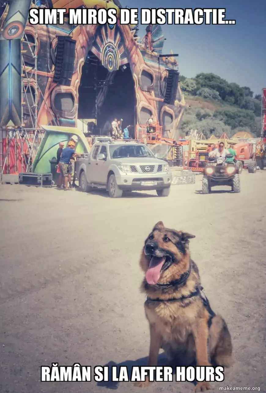 Silva, surpriza Jandarmeriei la Neversea 2019: ”Mirosim de la distanţă un mix bun”