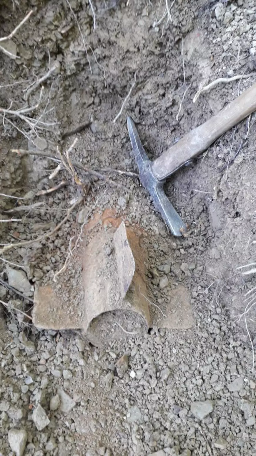 Două bombe de 50 kilograme fiecare, în stare perfectă de funcționare, descoperite la Bacău