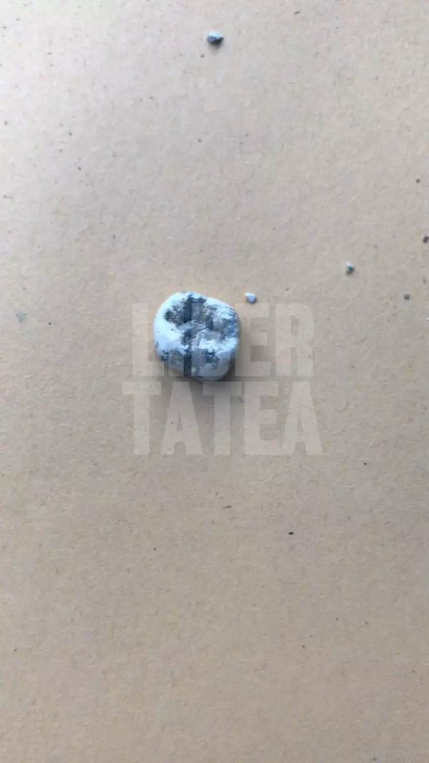 Corespondență din Caracal: Așa arată resturile de oase și dinții de om pe care le-au găsit polițiștii în curtea suspectului în cazul Alexandrei!