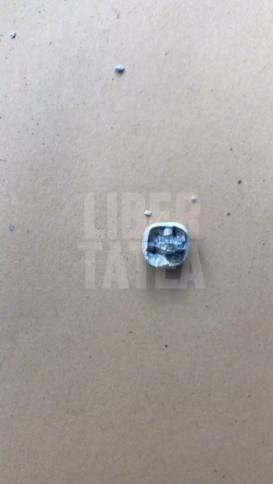 Corespondență din Caracal: Așa arată resturile de oase și dinții de om pe care le-au găsit polițiștii în curtea suspectului în cazul Alexandrei!